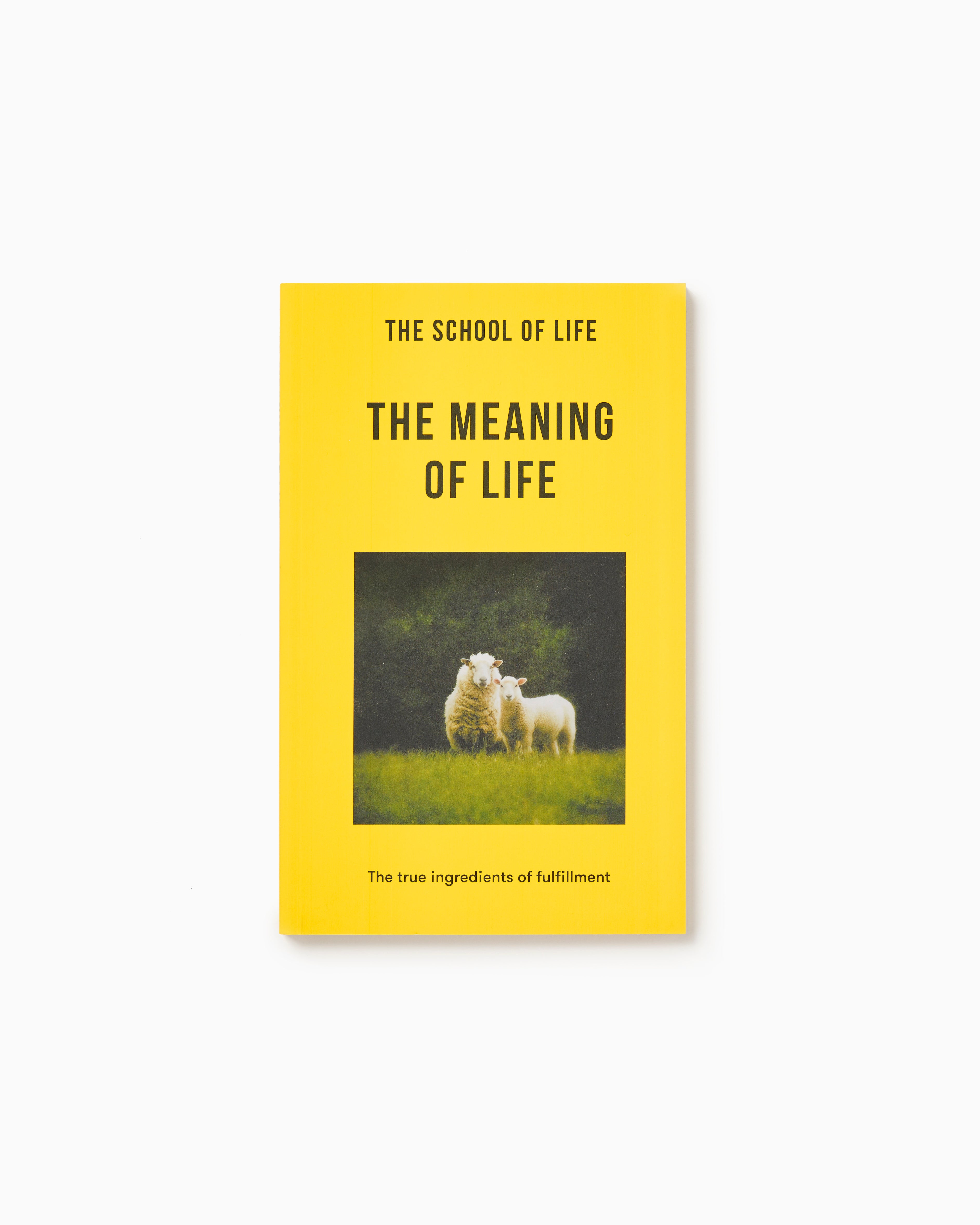 The Meaning of Life