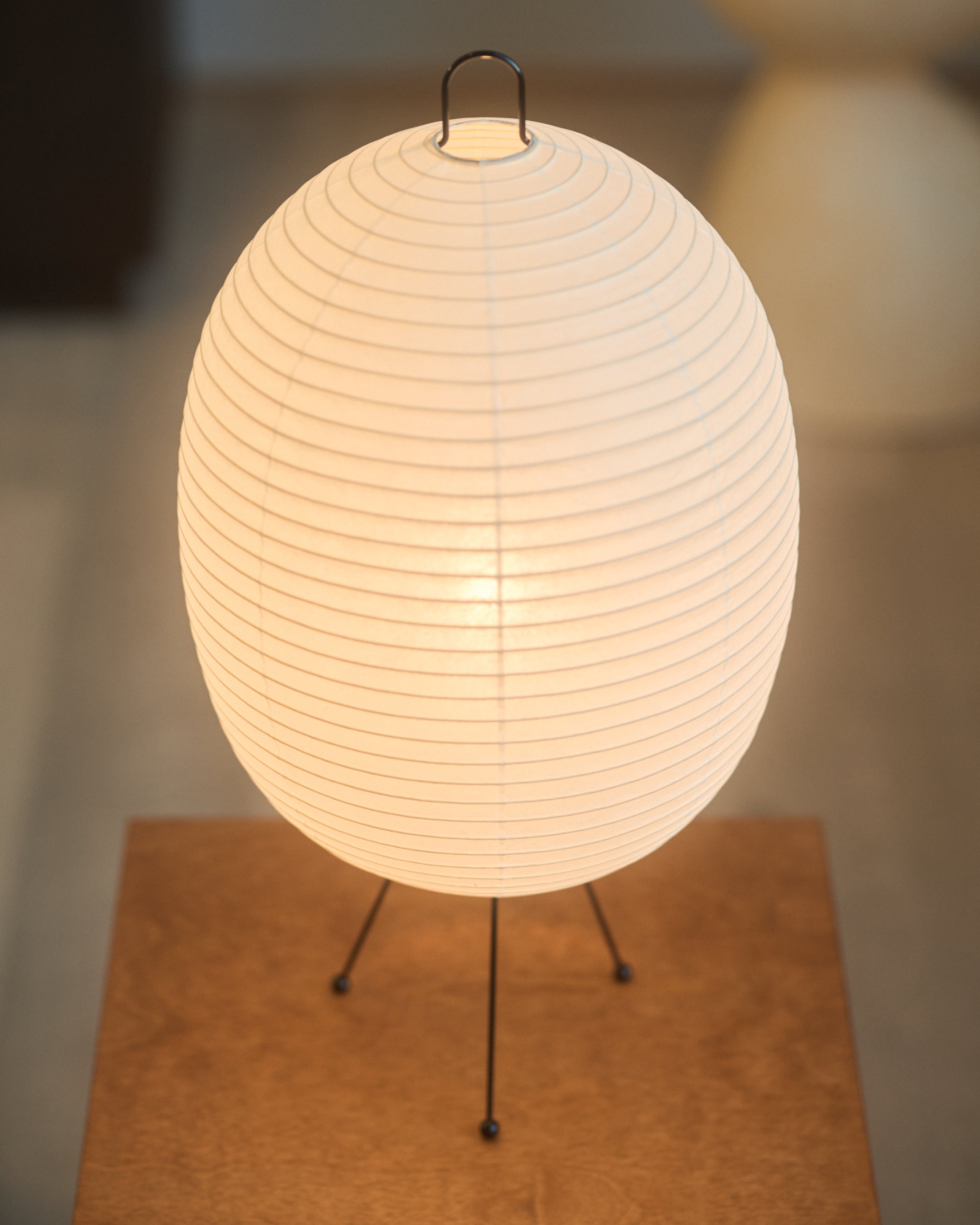 Chochin Lamp 02 - Tawara