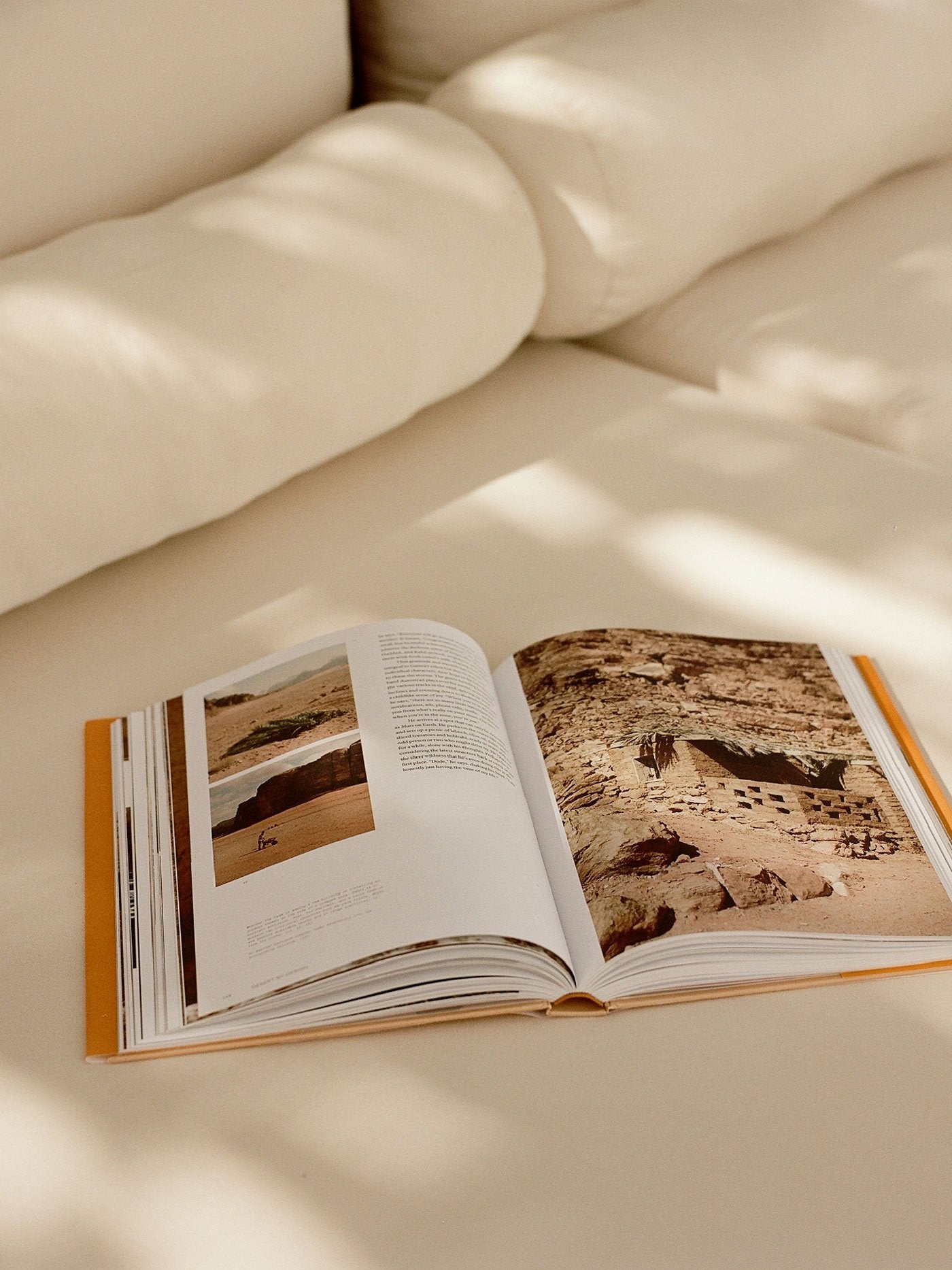 Desert by Design - James Burke, Molly Mandell