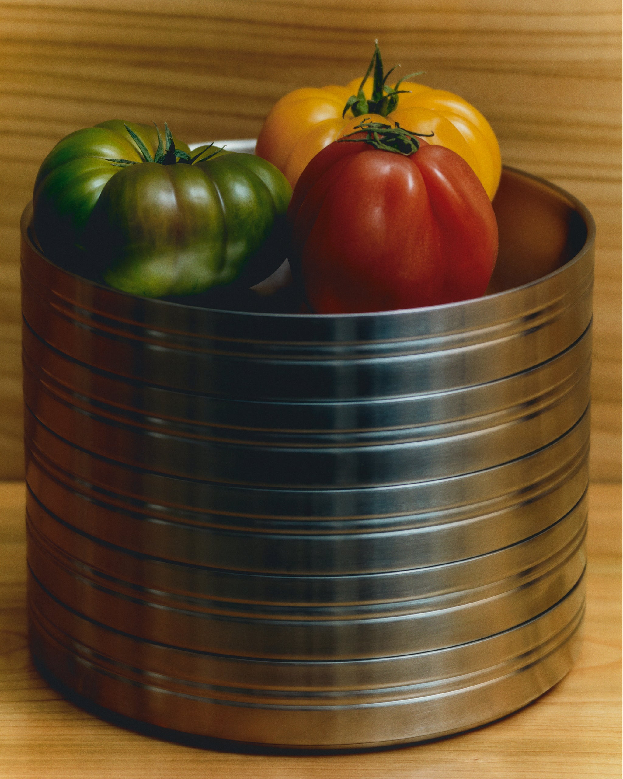 Stainless Steel Pasta Plate - Set of 2 - Service Projects