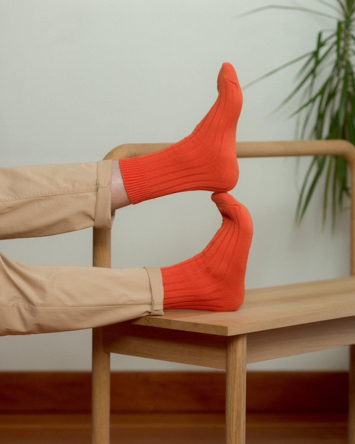 Egyptian Cotton Ribbed Socks - Apricot Orange