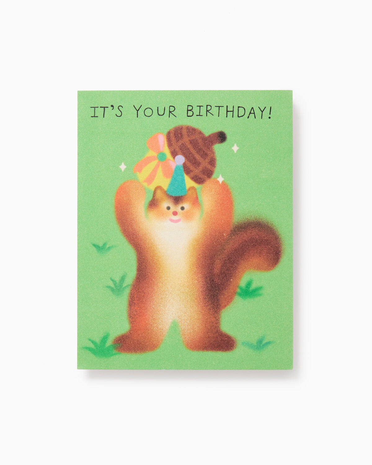 It's Your Birthday Squirrel Greetings Card