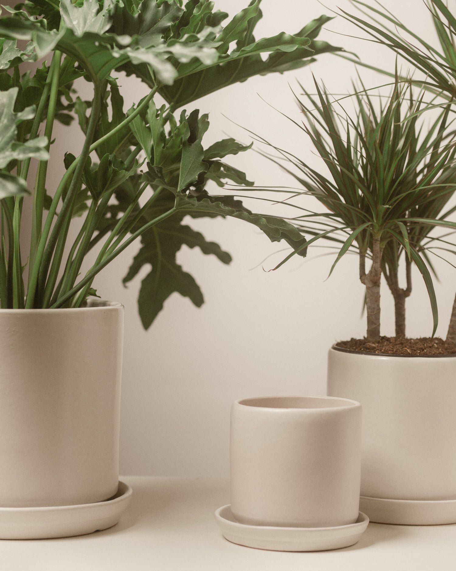 Medium Matte White Cylinder Pot