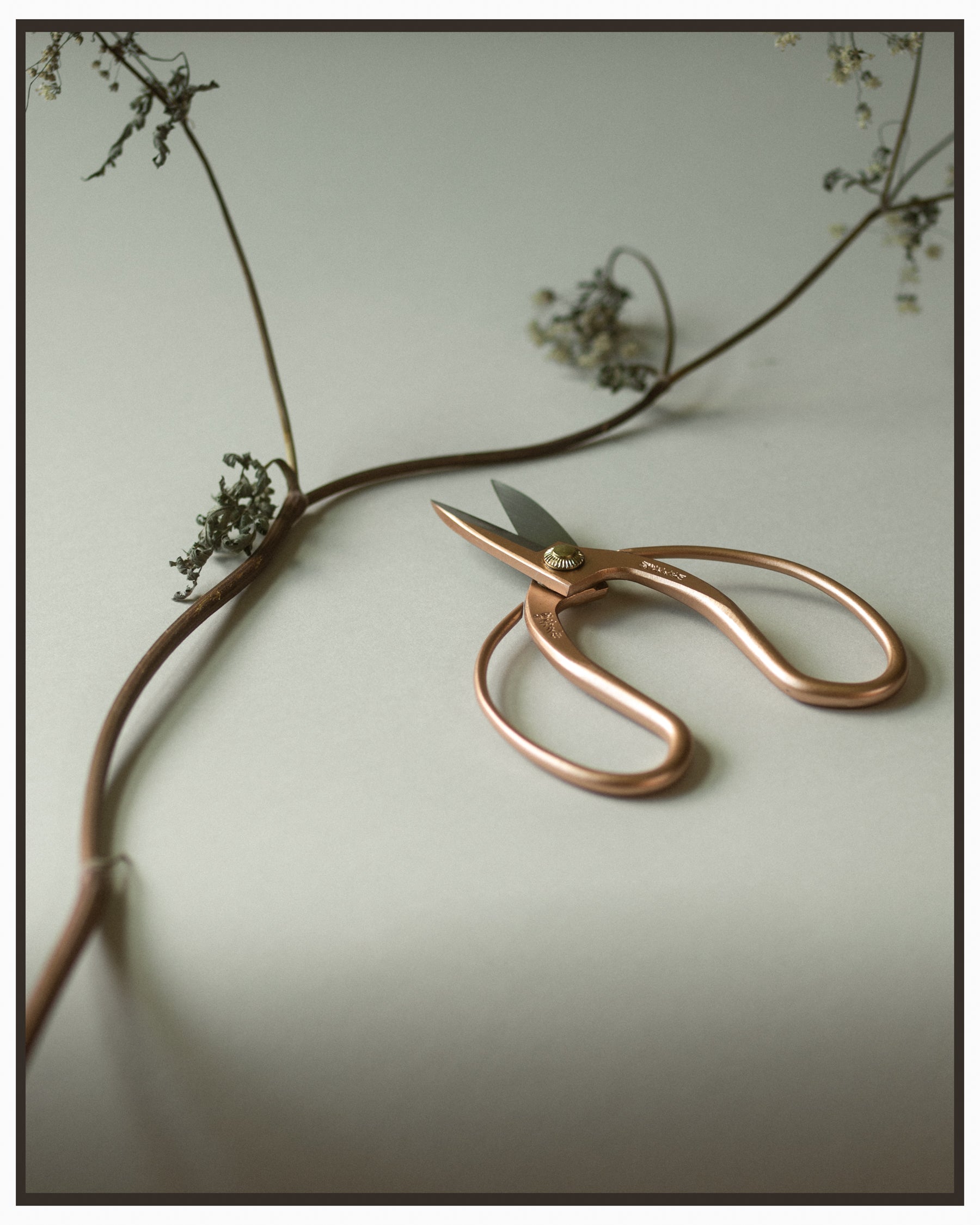 Garden Scissors Okubo - Rose Gold