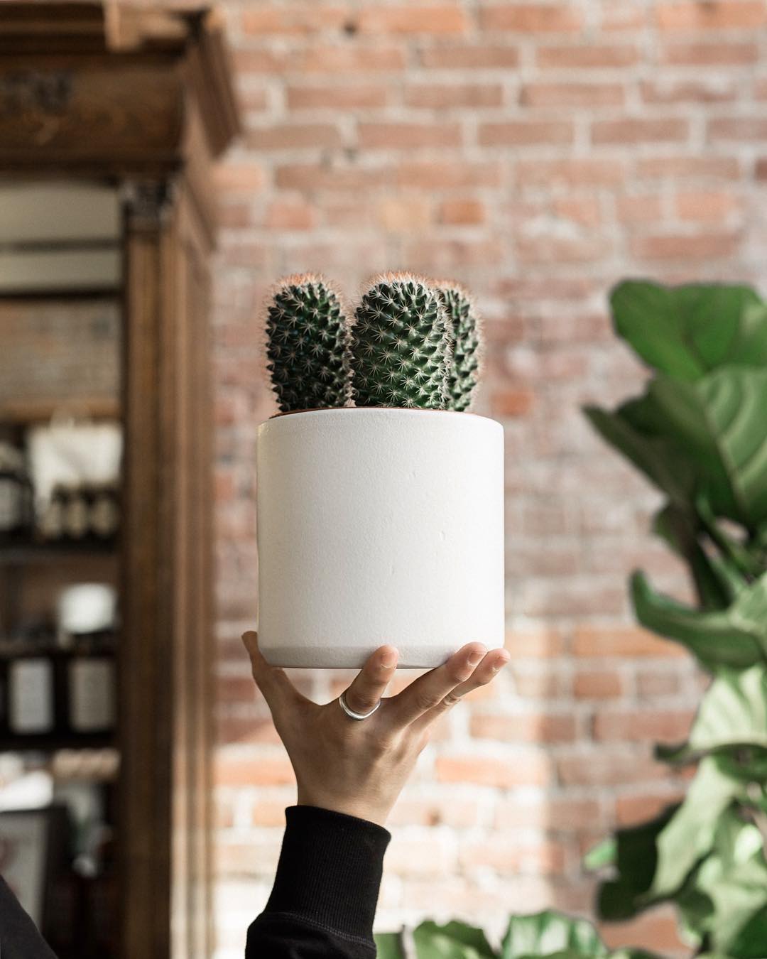 Small Matte White Cylinder Pot