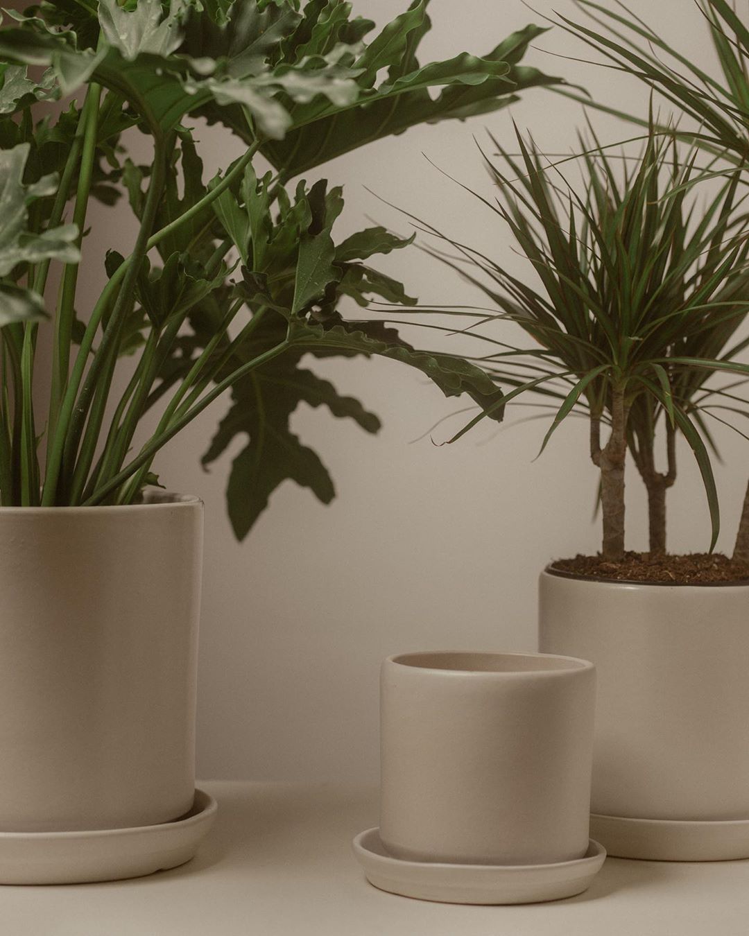 Small Matte White Cylinder Pot