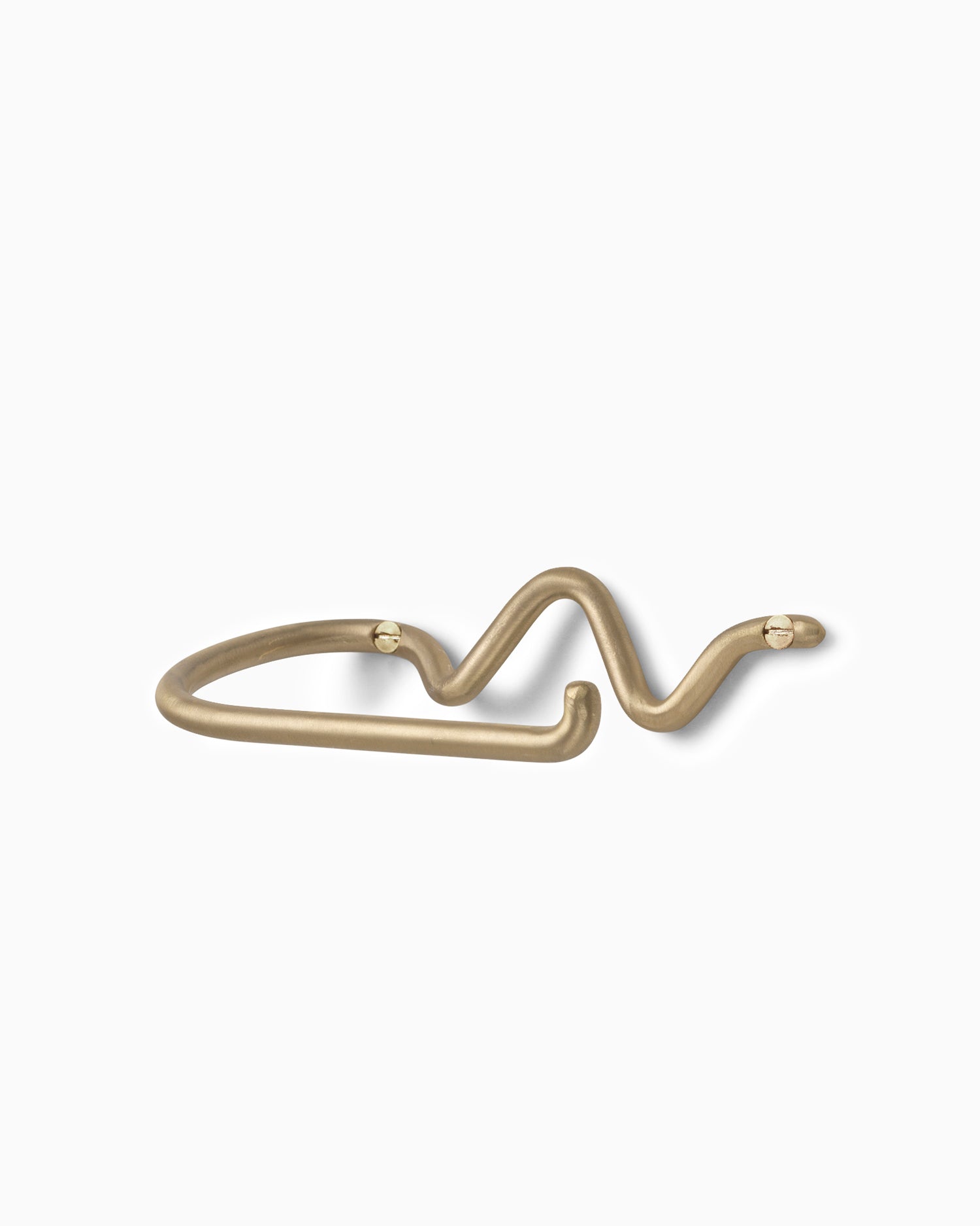 Curvature Toilet Paper Holder - Brass