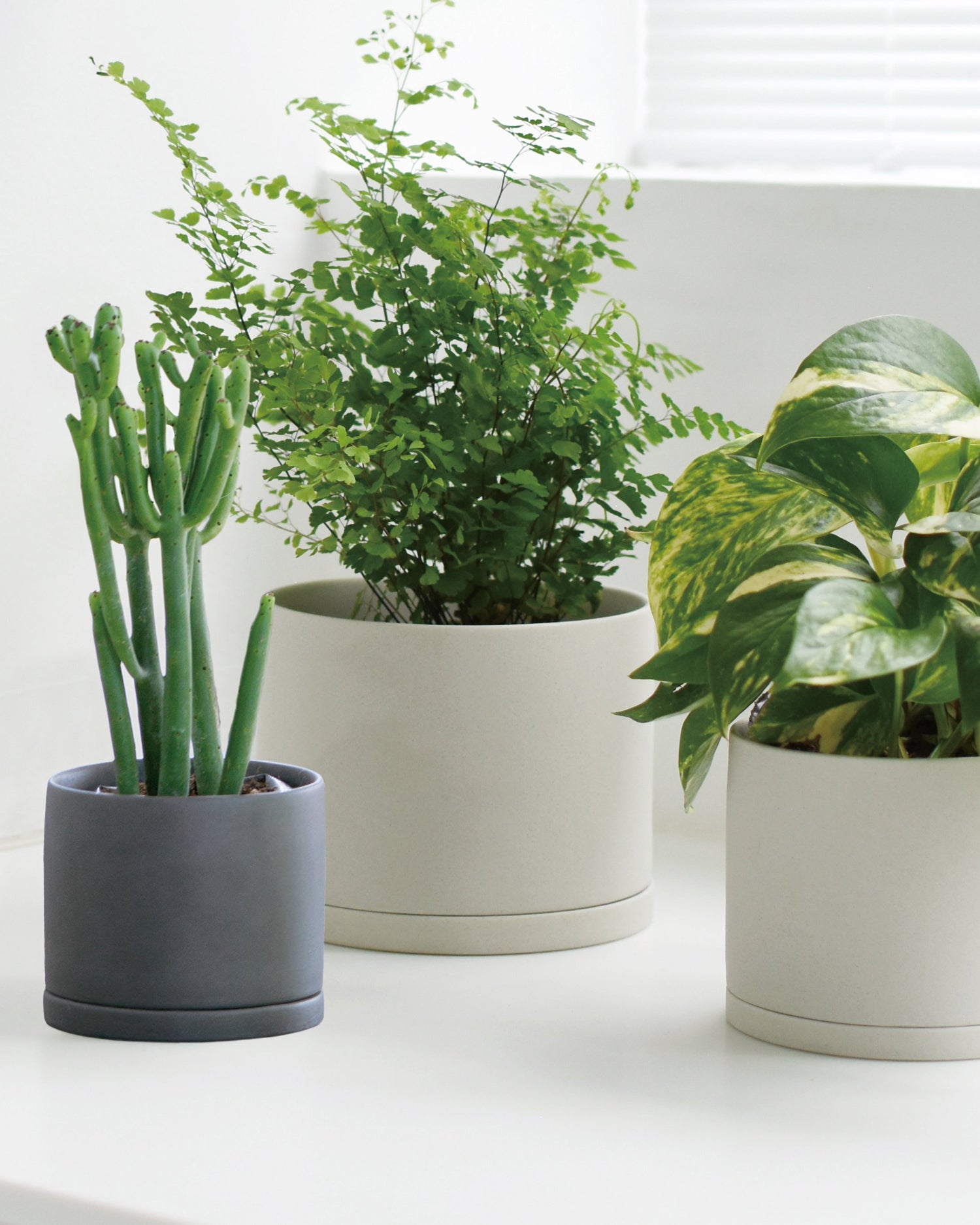 Plant Pot 191 Medium - Dark Gray