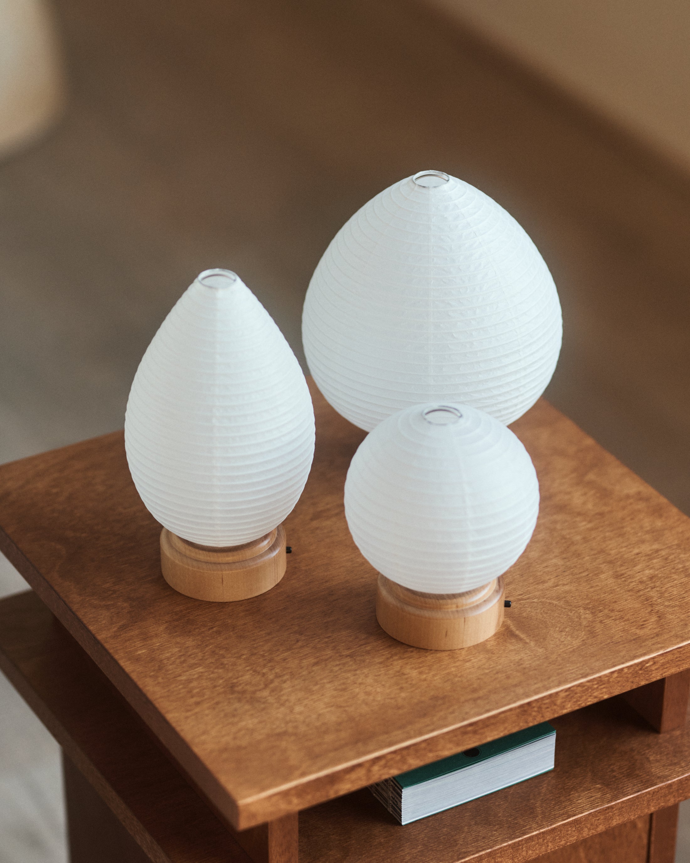 Nature Paper Lamp - Fruit