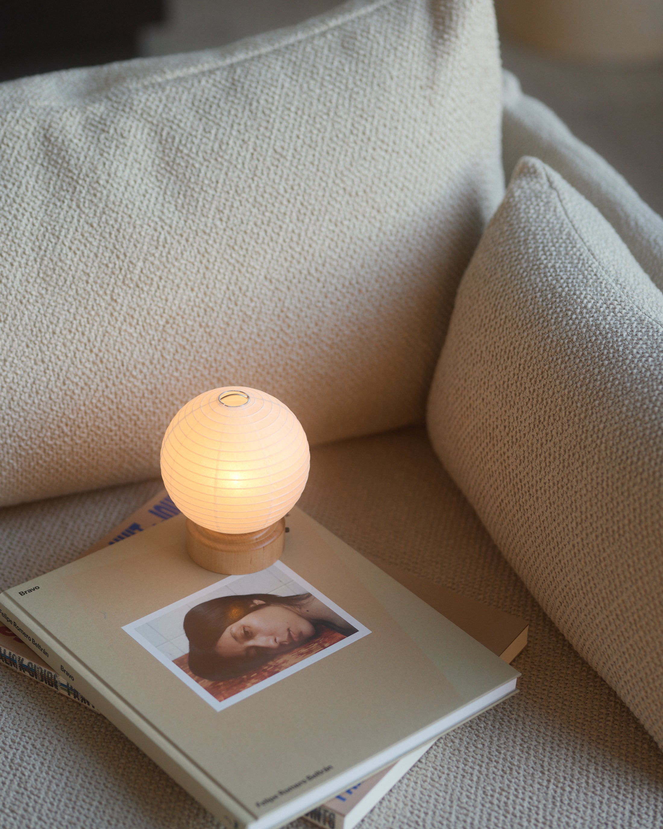 Nature Paper Lamp - Fruit