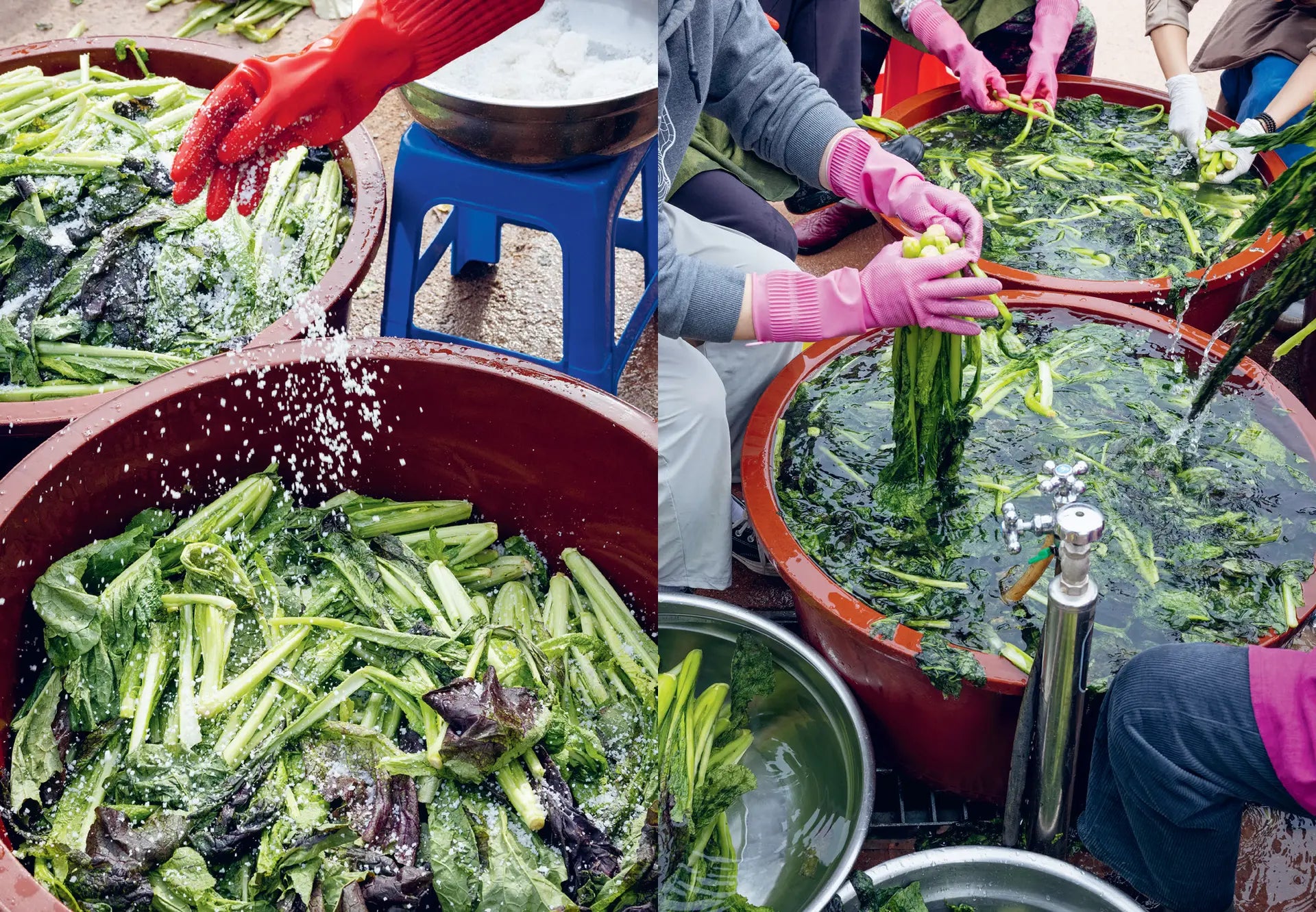 Korean Temple Cooking - Dr. Hoo Nam Seelmann