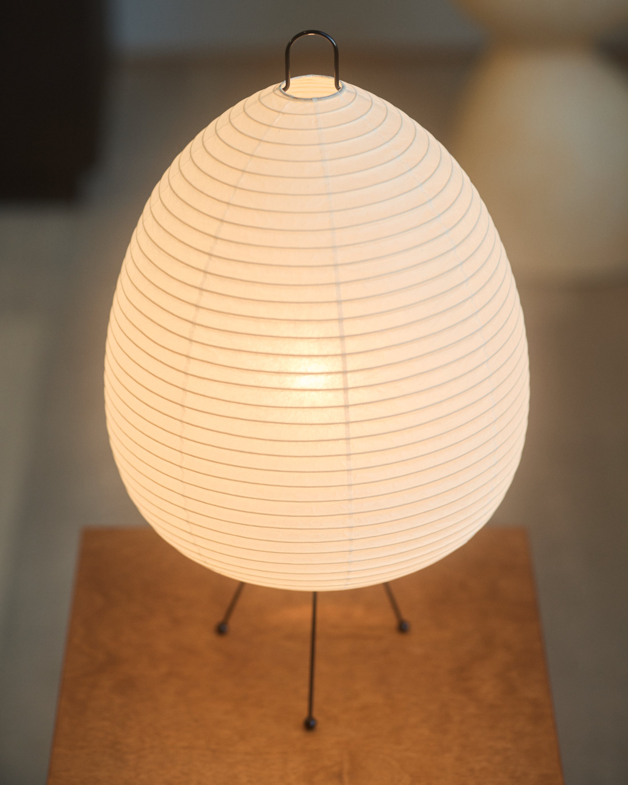 Chochin Lamp 01 - Donguri