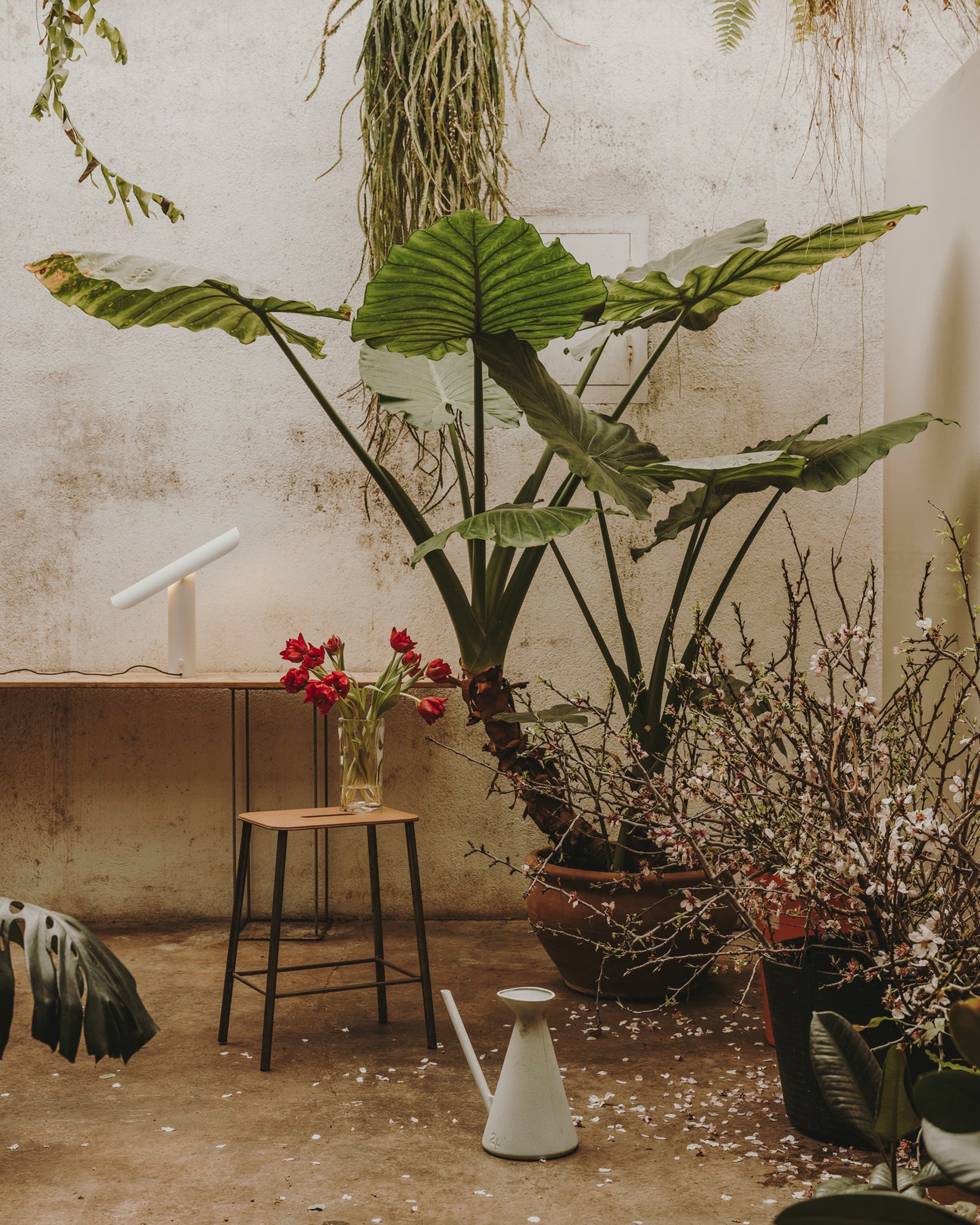 ADAM STOOL - Black/Oak H50