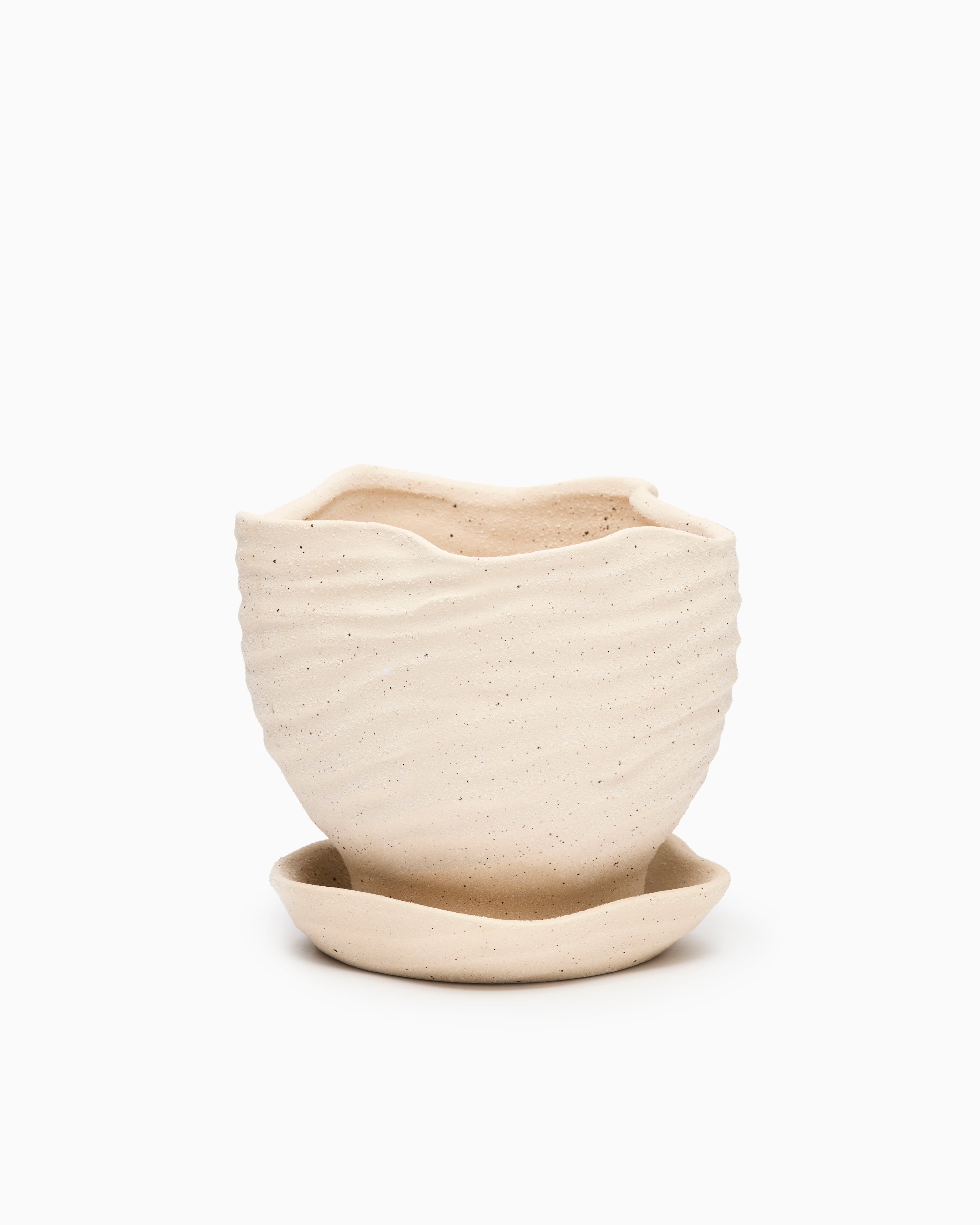 Plant Pots