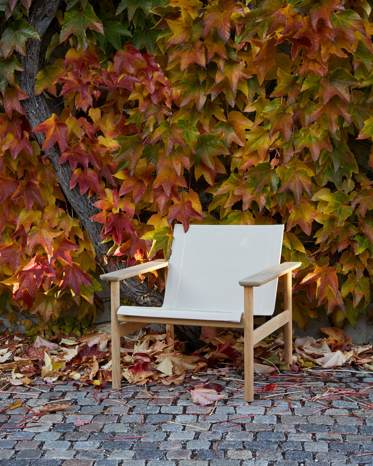 Pelagus Lounge Chair