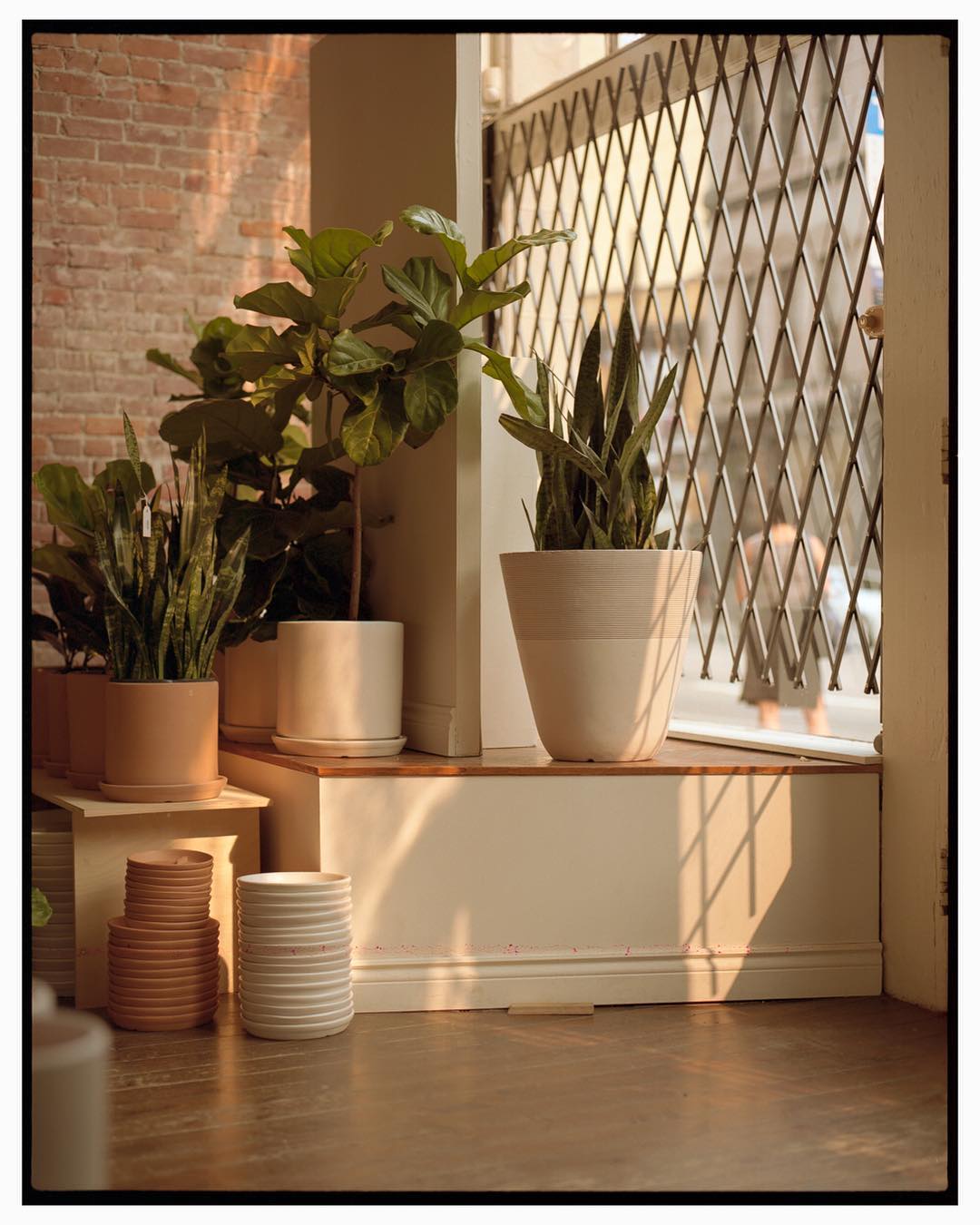 X-Large Matte White Cylinder Pot